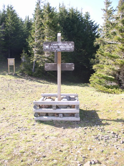 4.30.06 Hamilton Mountain 094 